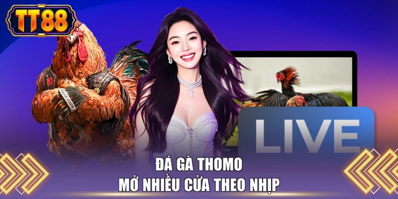 Đá gà thomo mở nhiều cửa theo nhịp